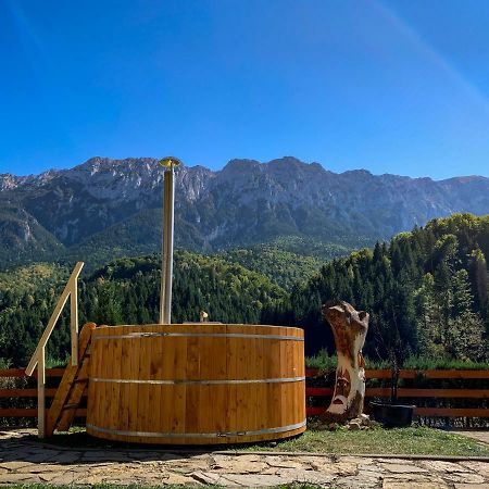 Panorama Pietrei Craiului Zarnesti Exterior foto