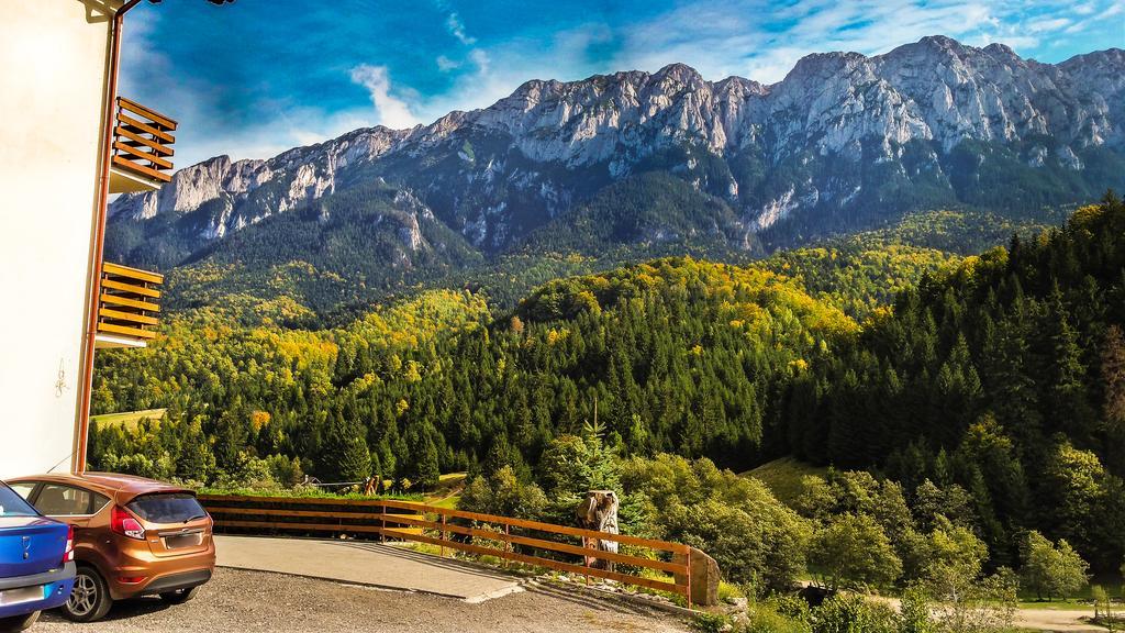 Panorama Pietrei Craiului Zarnesti Exterior foto