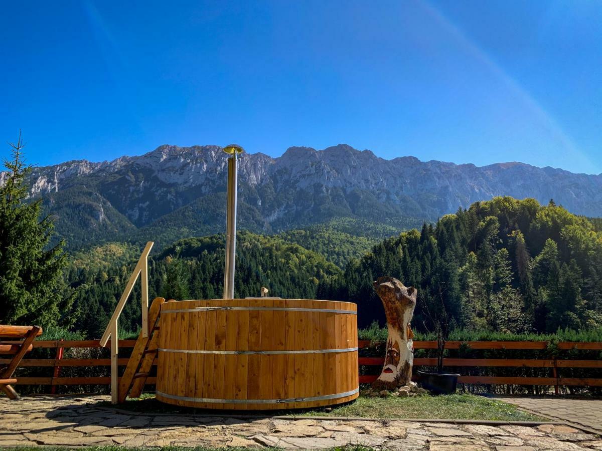 Panorama Pietrei Craiului Zarnesti Exterior foto